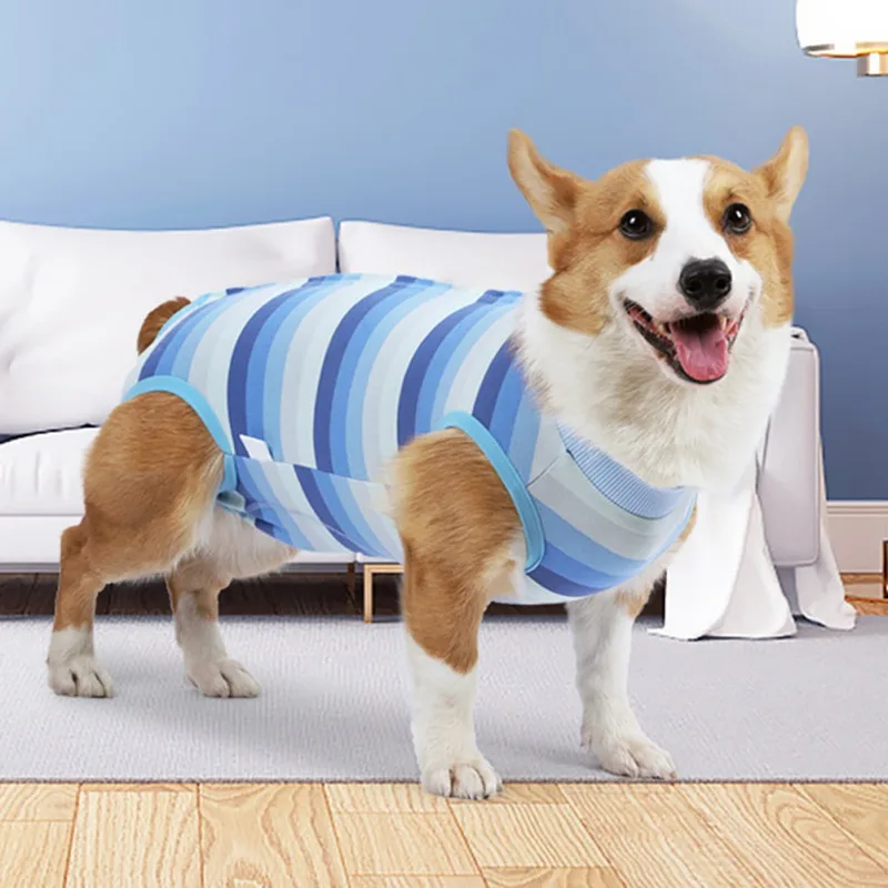 Dogs Maintain Clothes Operation Recovery Suits Pet Four-legged Jumpsuit Clothes Anti Licking Wounds After Surgery Surgery Suit