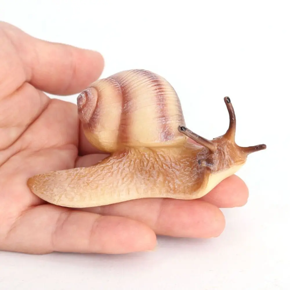 Estatua de Caracol realista para niños, juguete cognitivo, Micro paisaje educativo, modelo de caracol, simulación de insectos, decoración de jardín