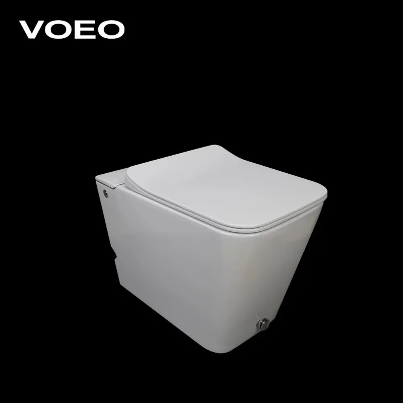 Homeware Push Button or Foot Kick Flush Ceramic Washdown Toilet