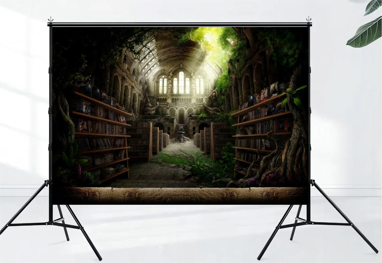 Magic Wizard Study Background Photography Ancient Library Bookshelves Magic Books Tarot License Xiangting Studio Props