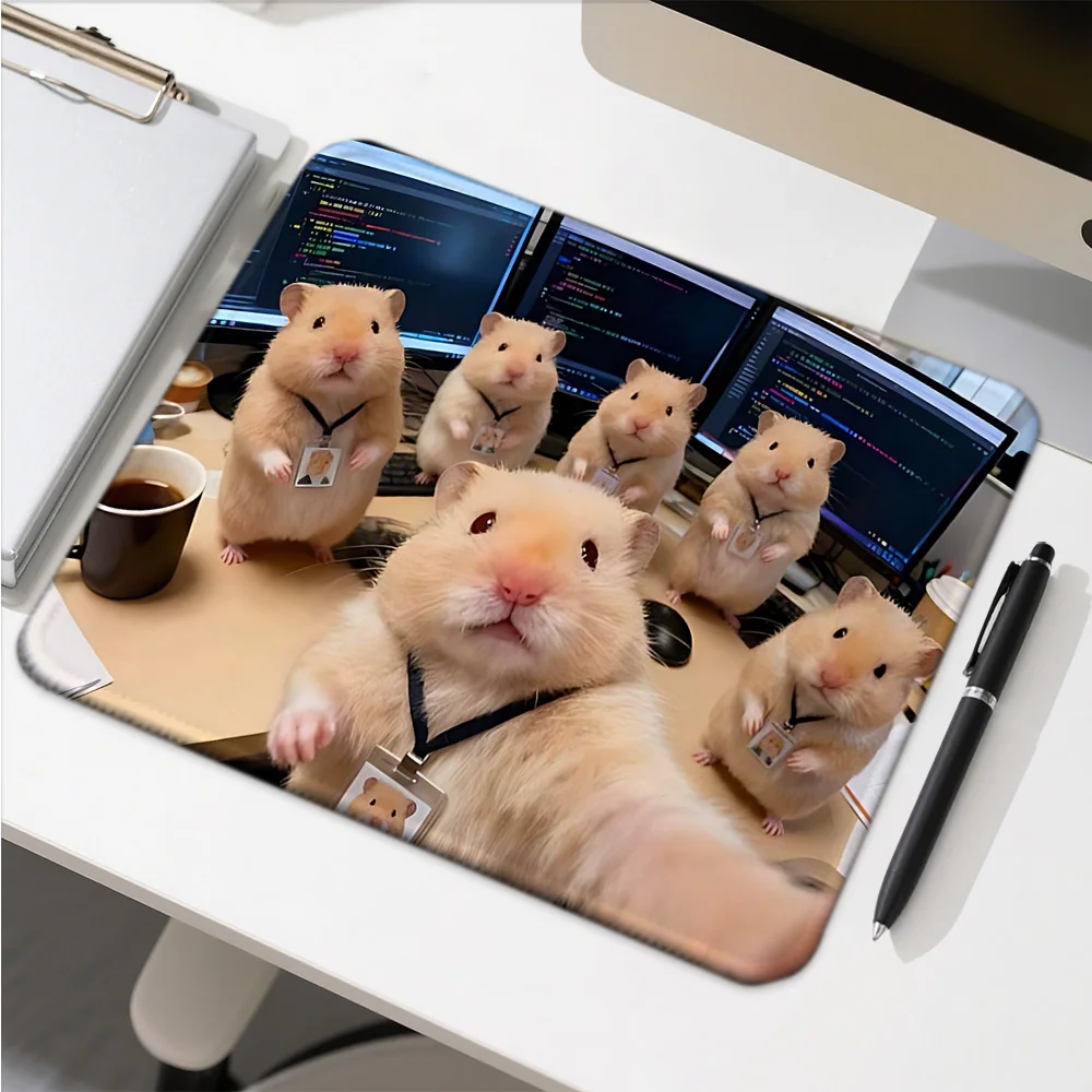 Funny Cat Expressions Computer Mat Desk Accessories Pc Gamer  Mousepad Company Game Mats Mouse Anime Mause Table Decoration
