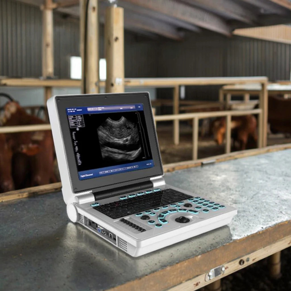 Portable Veterinary Diagnostic Imaging Machine Effective Portable Ultrasound Probe Clinic Equipment Sale Competitive Warranty