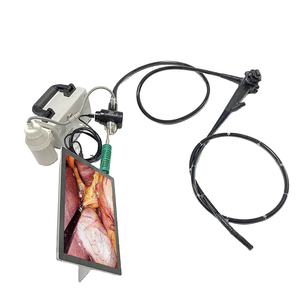 EUR VET Great Quality Flexible Vet Video Gastroscope And Colonoscope for Veterinary Medical Clinic