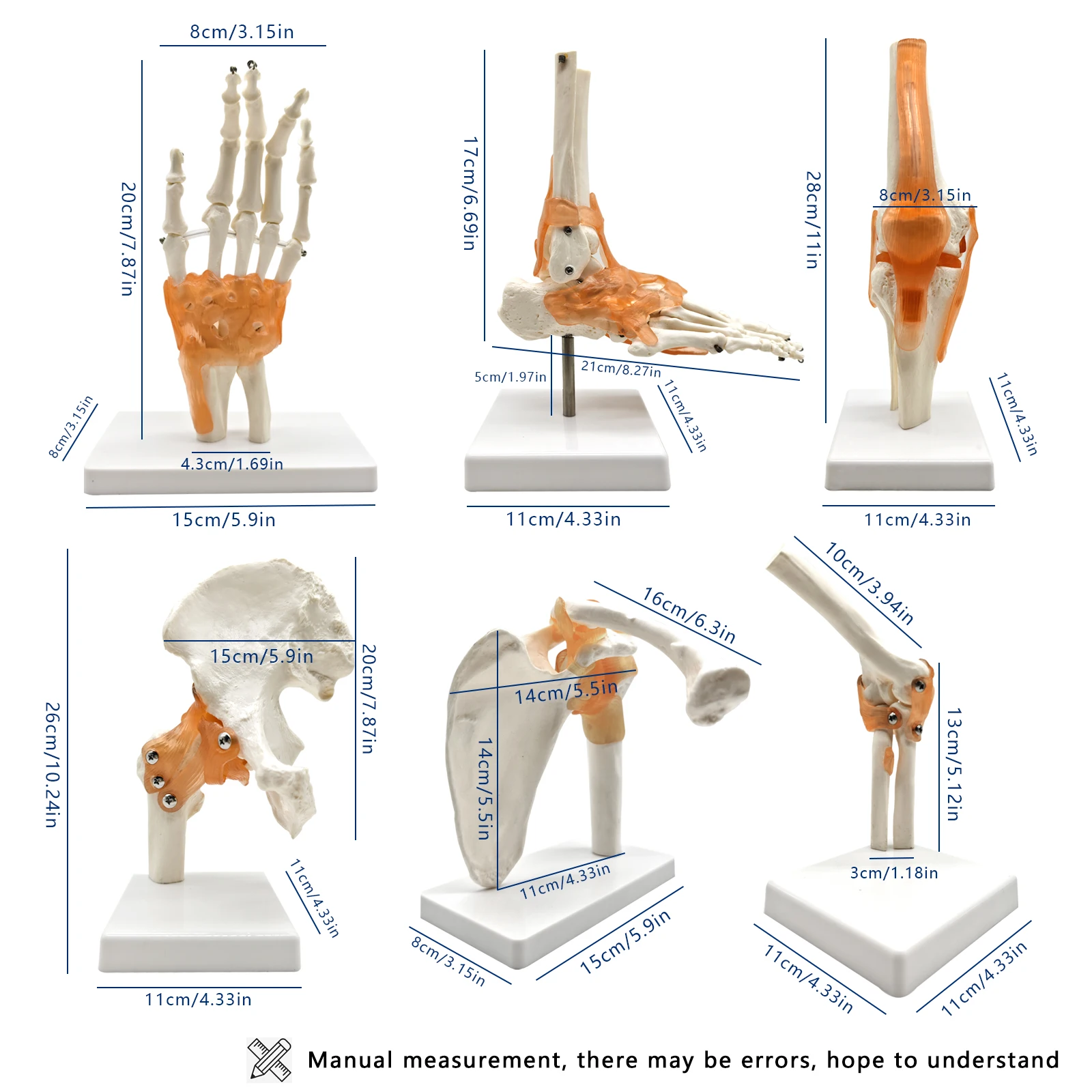 6 pcs/Set Anatomy Models Human Shoulder Elbow Hip Knee Hand Foot Joint Bone Models Human Joint Anatomy Model Science Models Huma