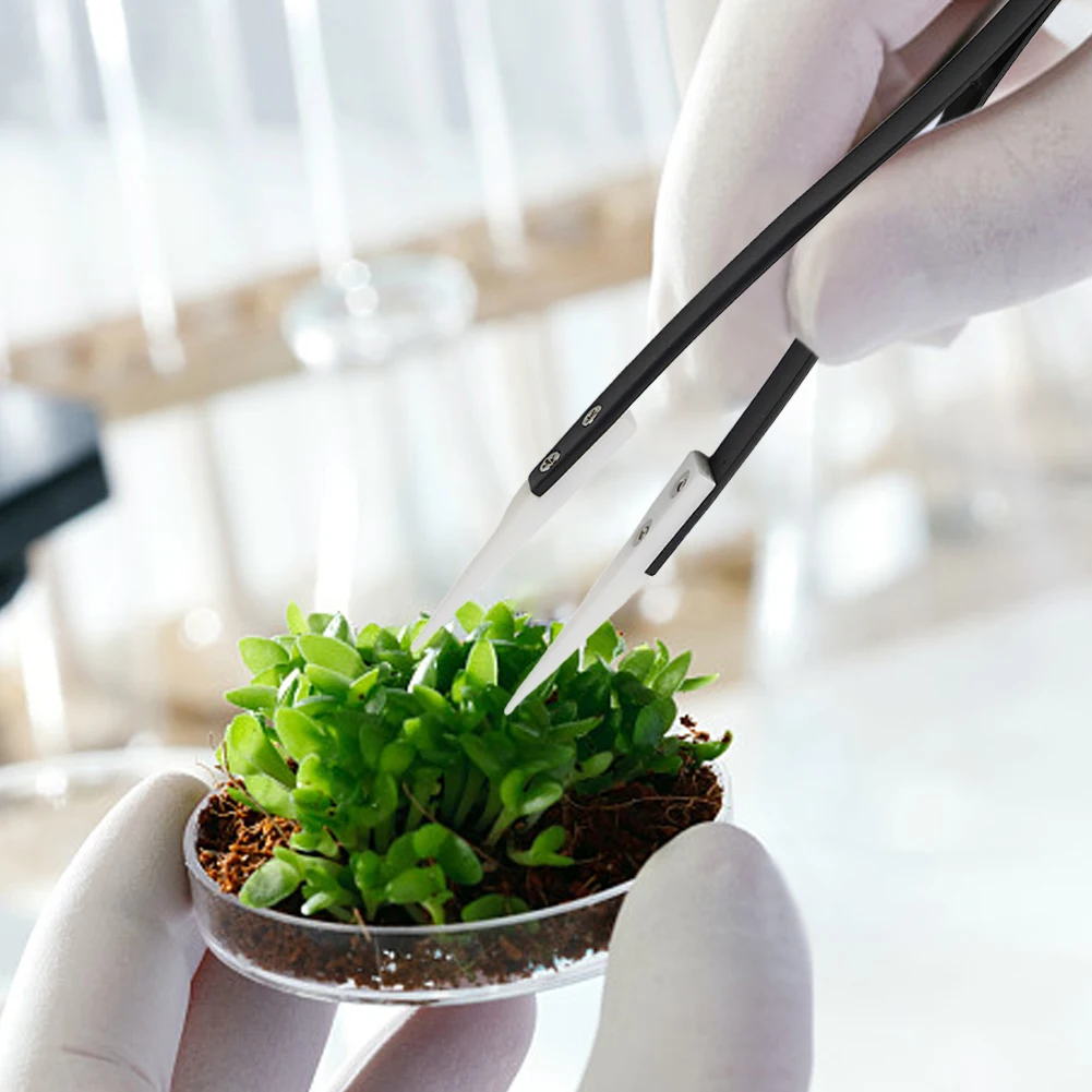 

Forceps Tweezers Straight Pointed Anti-static High-temperature Industrial Tweezers Small Elbow Stainless Steel