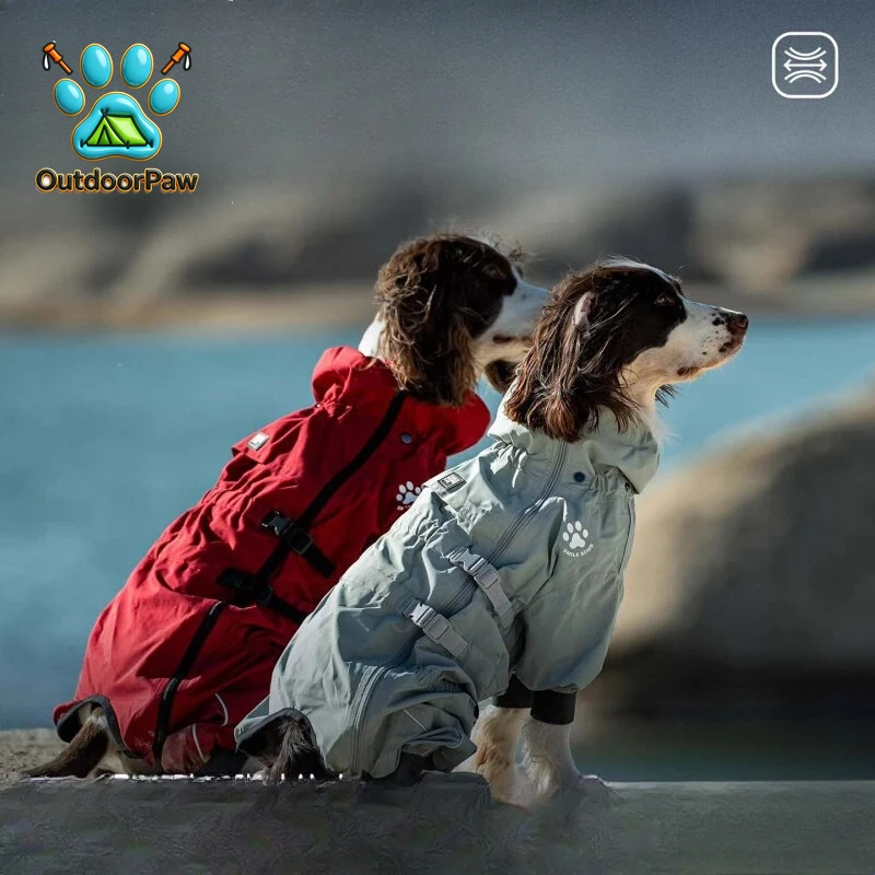 Pet Raincoat Winter Outdoor Waterproof Jacket Four Feet All-inclusive Sports Clothing