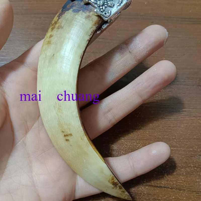 

Tibetan Silver Auspicious Lion's Head Inlaid Pure Natural Retro Wild Boar Tooth Pendant Personalized Fashionable Men's Gift