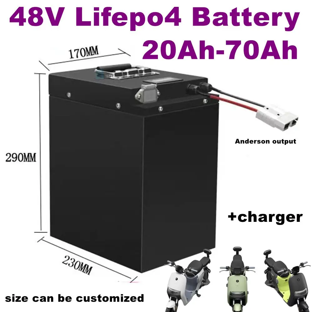 48V 20Ah 30Ah 40Ah 50ah 60ah 70Ah Lifepo4 Lithium Battery for Golf Cart tricycle Two-wheeler+Charger