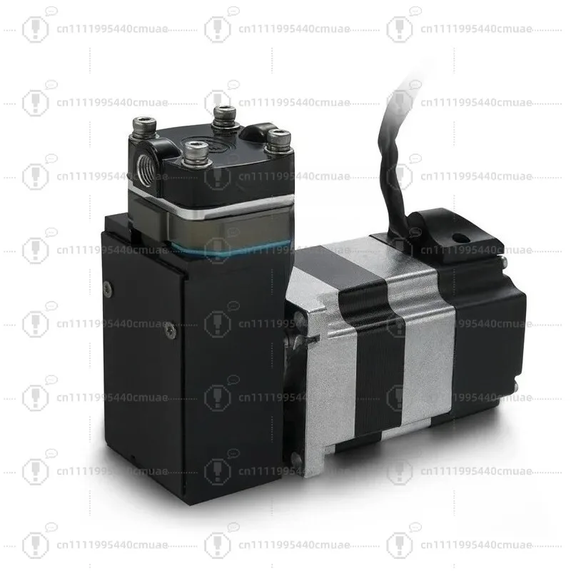 12DB12V24V High Pressure Piston Electric Particle Counting Gas Detection Mini Vacuum Pump
