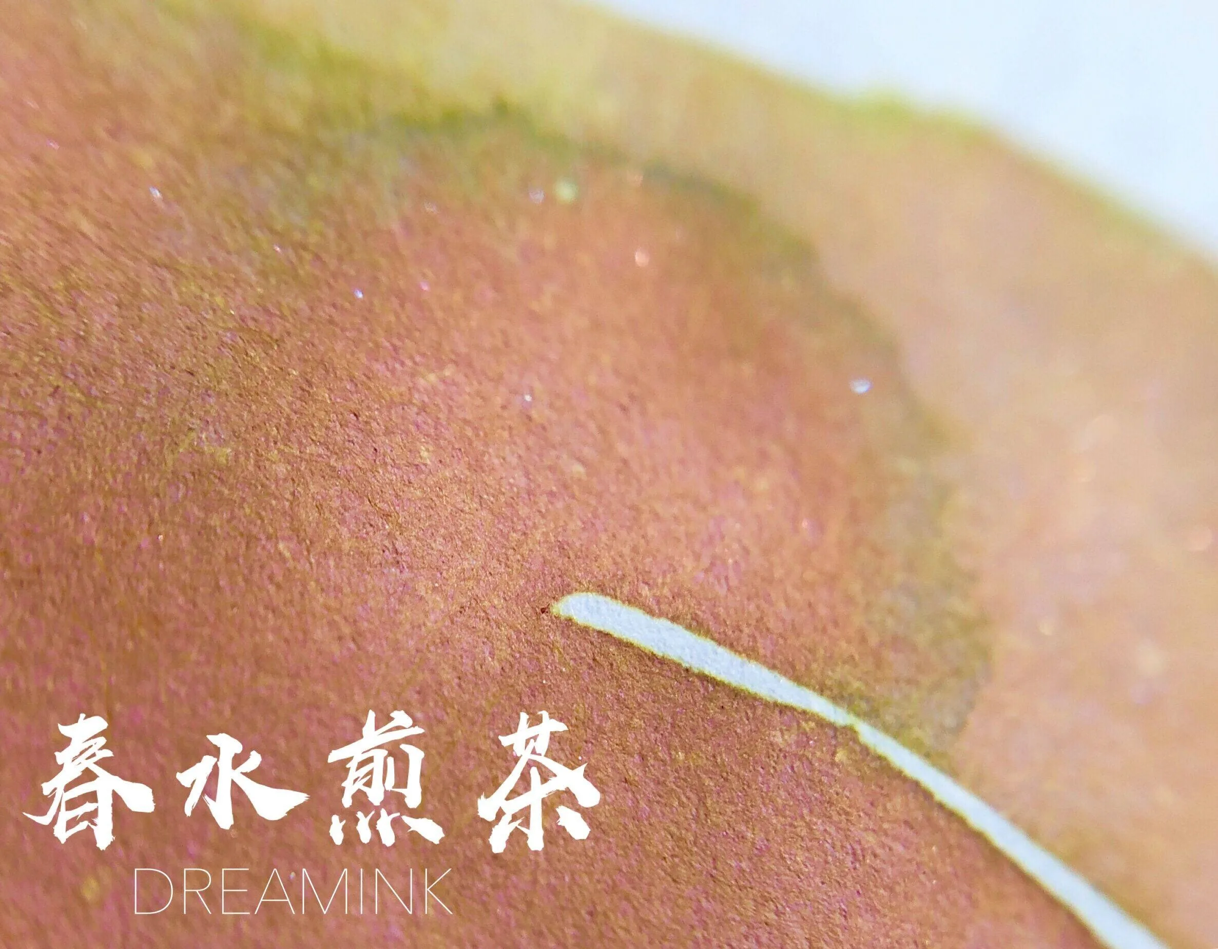 DREAMINK Chunshui Jiancha Color Sheen Fountain Pen Ink 5/20ml Shimmer Calligraphy Drawing Ink Office School Supplies Stationery