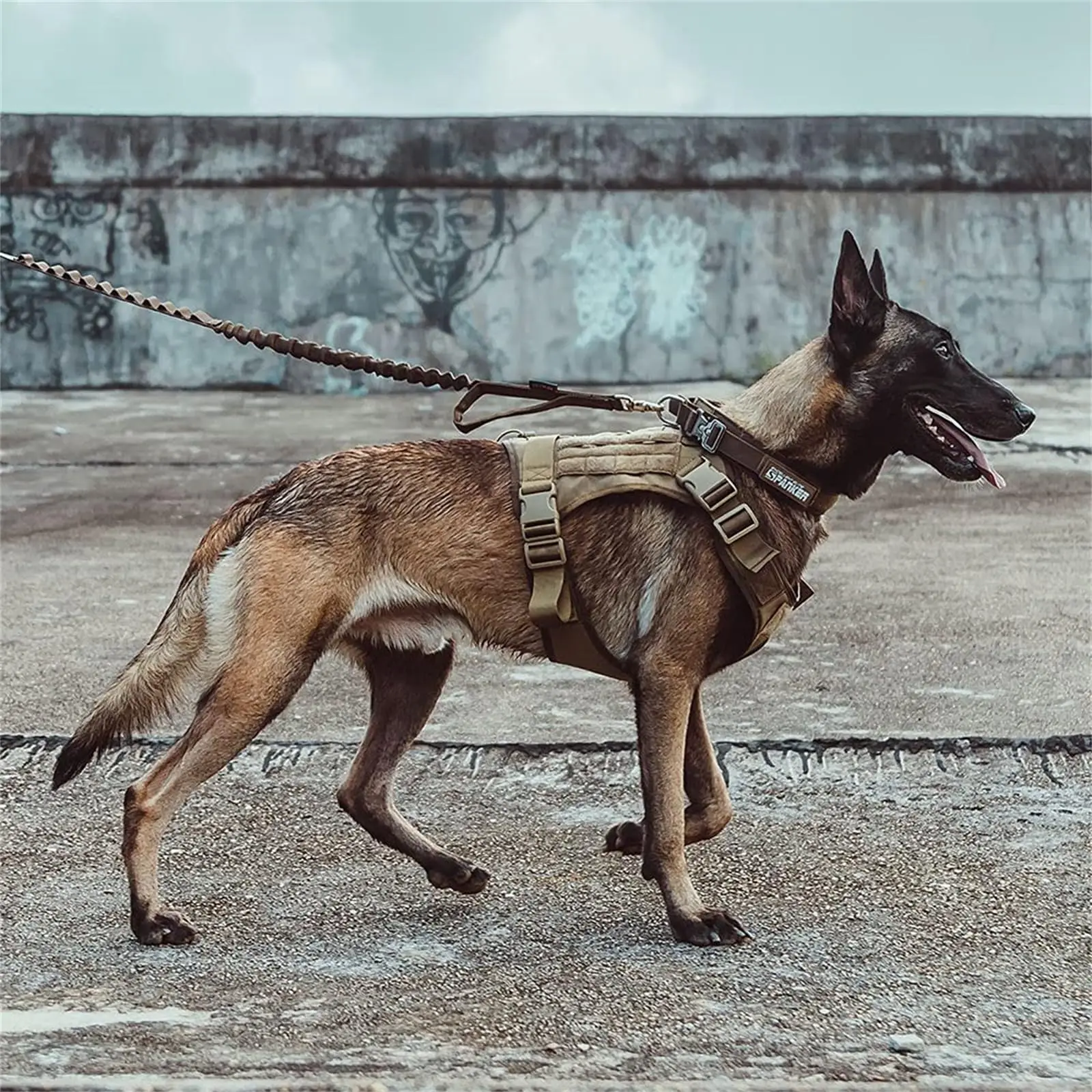 Taktisches Hundegeschirr für großes Haustiergeschirr, No-Pull-Service-Weste, verstellbare Militär-Hundeweste für Training, Jagd, Spazierengehen – Detail 1