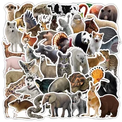 10/25/50pcs Mixed Wild Jungle Animals Stickers Graffiti for Boys Girls DIY Toy Scrapbooking Water Bottle Phone Fridge