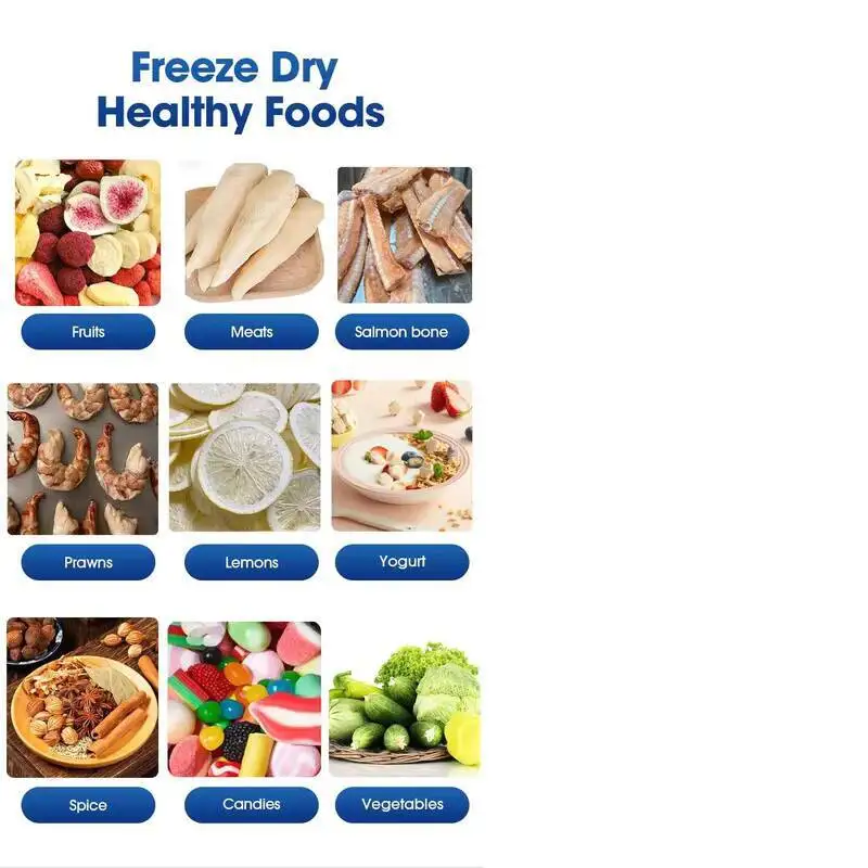 Machine de lyophilisation sous vide pour aliments, équipement de lyophilisation pour fruits secs, lyophilisateur domestique à vendre
