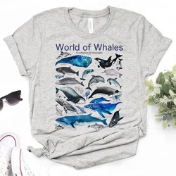 Whales