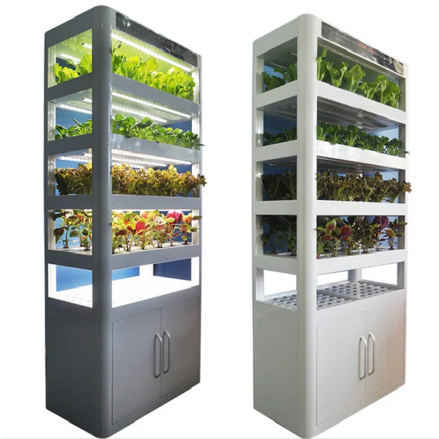 

Agriculture Symbiosis of Fish and Vegetable Plant Greenhouse Hydroponic NFT Growing System/soilless Cultivation with Led Light