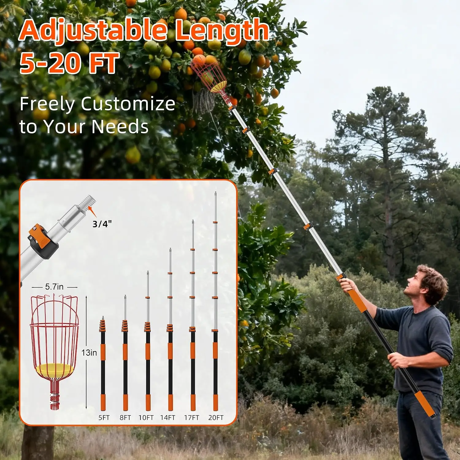 26FT Reach Fruit Picker with Basket, Telescoping Aluminum Pole 5-20FT, Dual Flip-Lock & Screw Fixing Design for Apple Orange Mango Avocado Lemon Picking