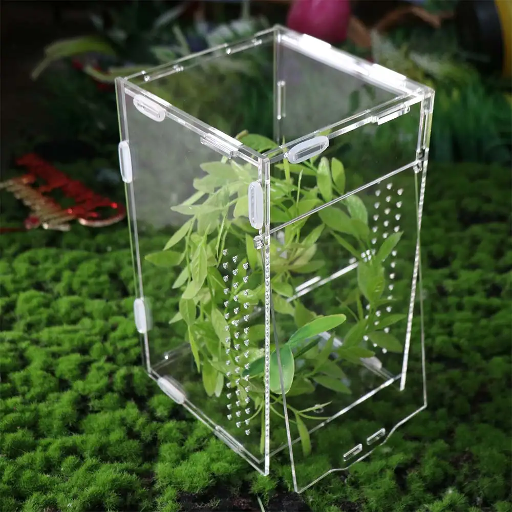 Transparent Reptile Feeding Box Ventilated Anti-escape Jumping Spider Terrarium Buckle Lock Lizard Enclosure For Lizard Spider