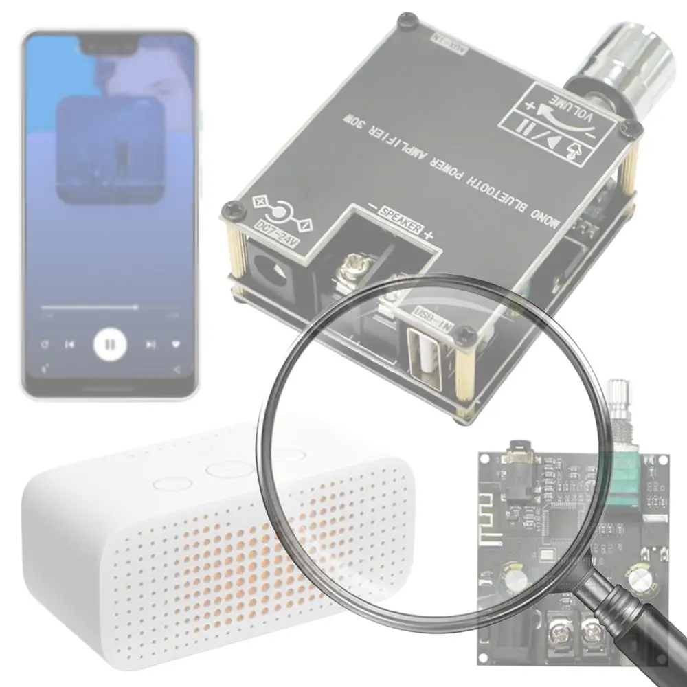 ZK-301B Mono 30W Am…