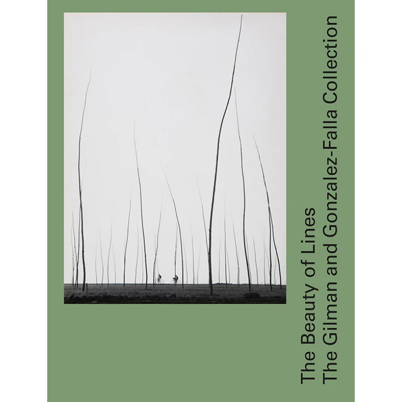 The Beauty Of Lines Tatyana FranckPauline Martin Scheidegger  Spiess 9783858818003 Book