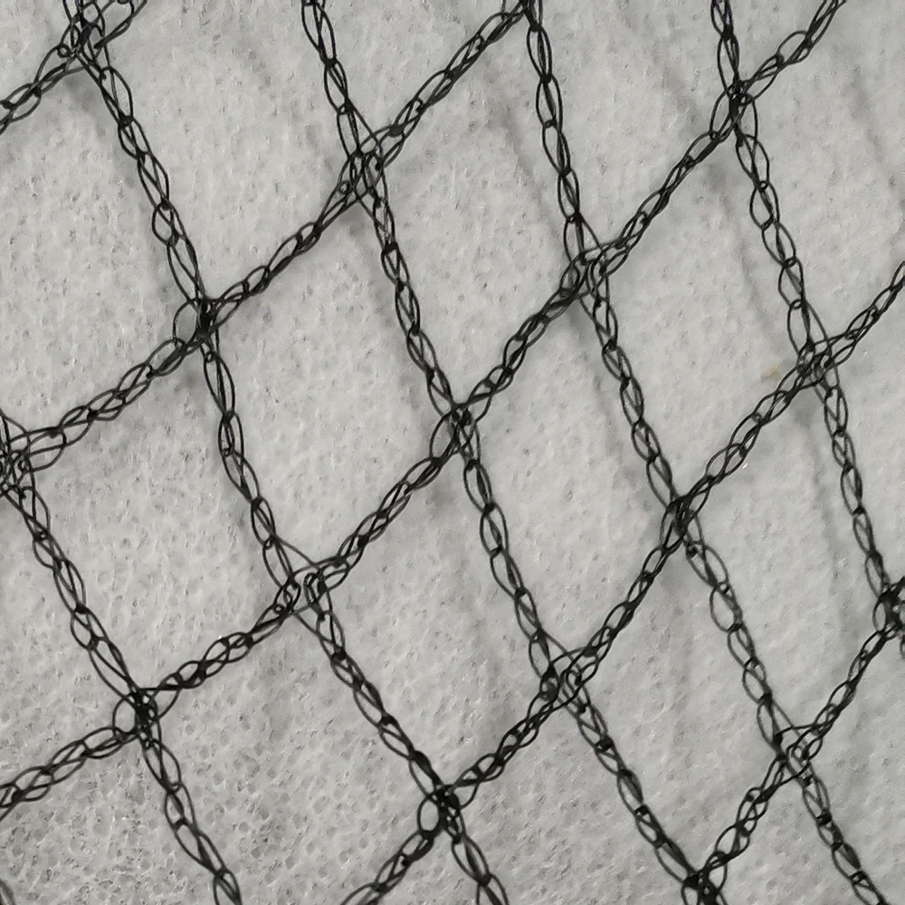 

Black Anti Bird Netting Poultry Net Aviary for Vegetables Plants and Fruit