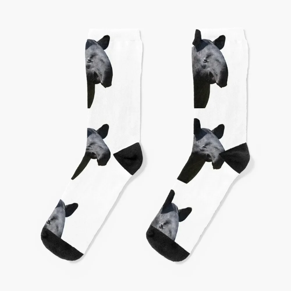 

The Most Handsome Tapir in the World Socks Stockings compression custom new in's compression Designer Man Socks Women's