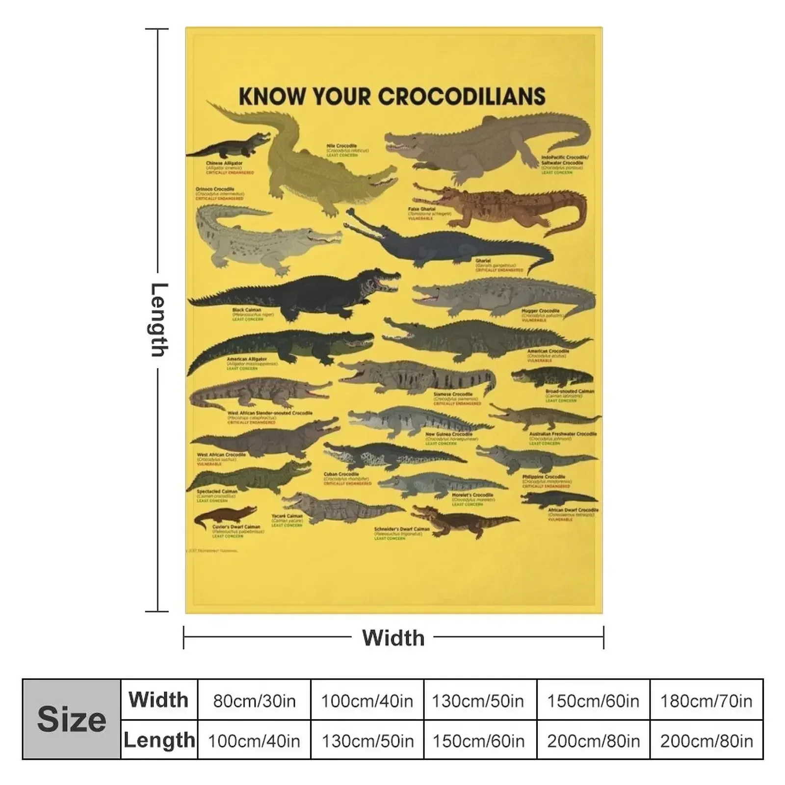 Know Your Crocodilians Throw Blanket Quilt Multi-Purpose Comforter Sofas for winter Personalized Gift Blankets