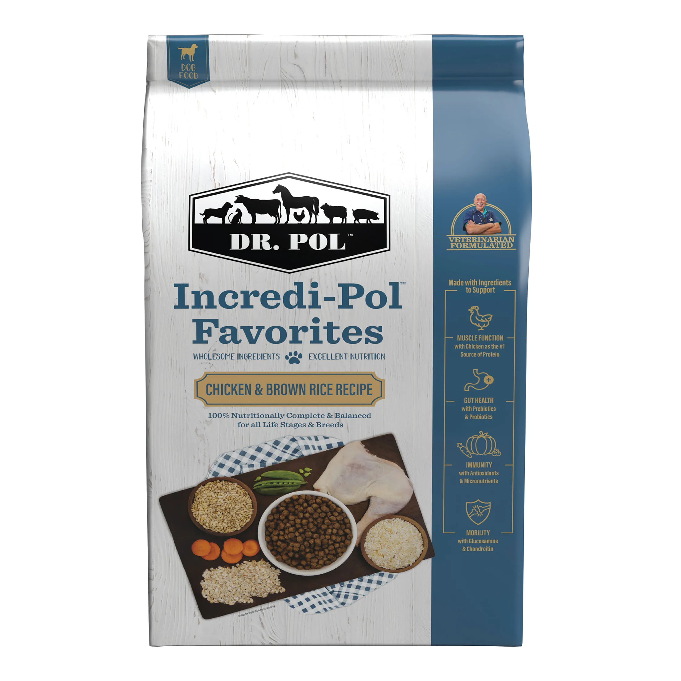 Chicken and Brown Rice Recipe Dry Dog Food 6lb Bag