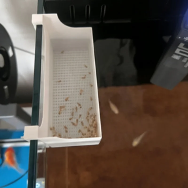 1pc Fish Breeding Isolation Box Aquarium Fry Shrimp Hatching Separator Net Box For Guppy Betta Fish Juvenile Fish Separation view 5