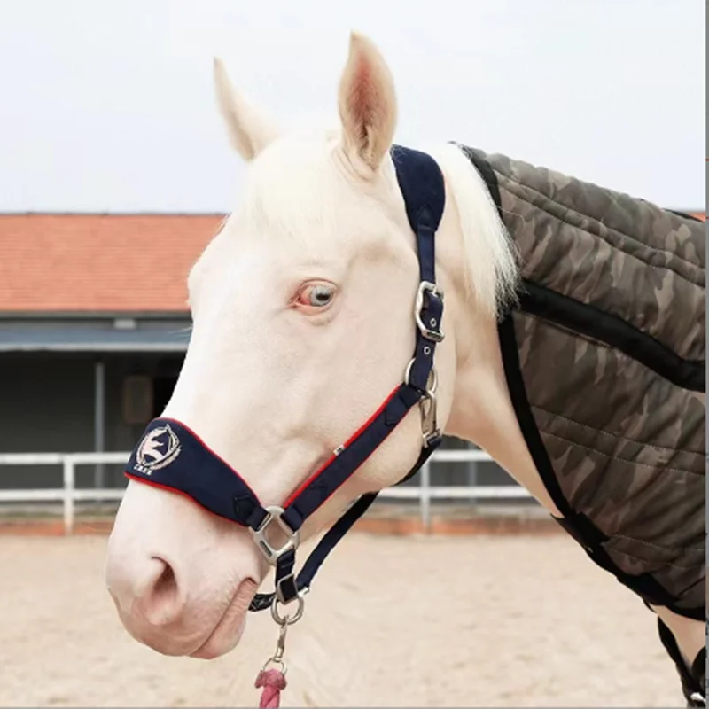 Halter chumbo Halter Halter, velo forrado, cavalo suprimentos