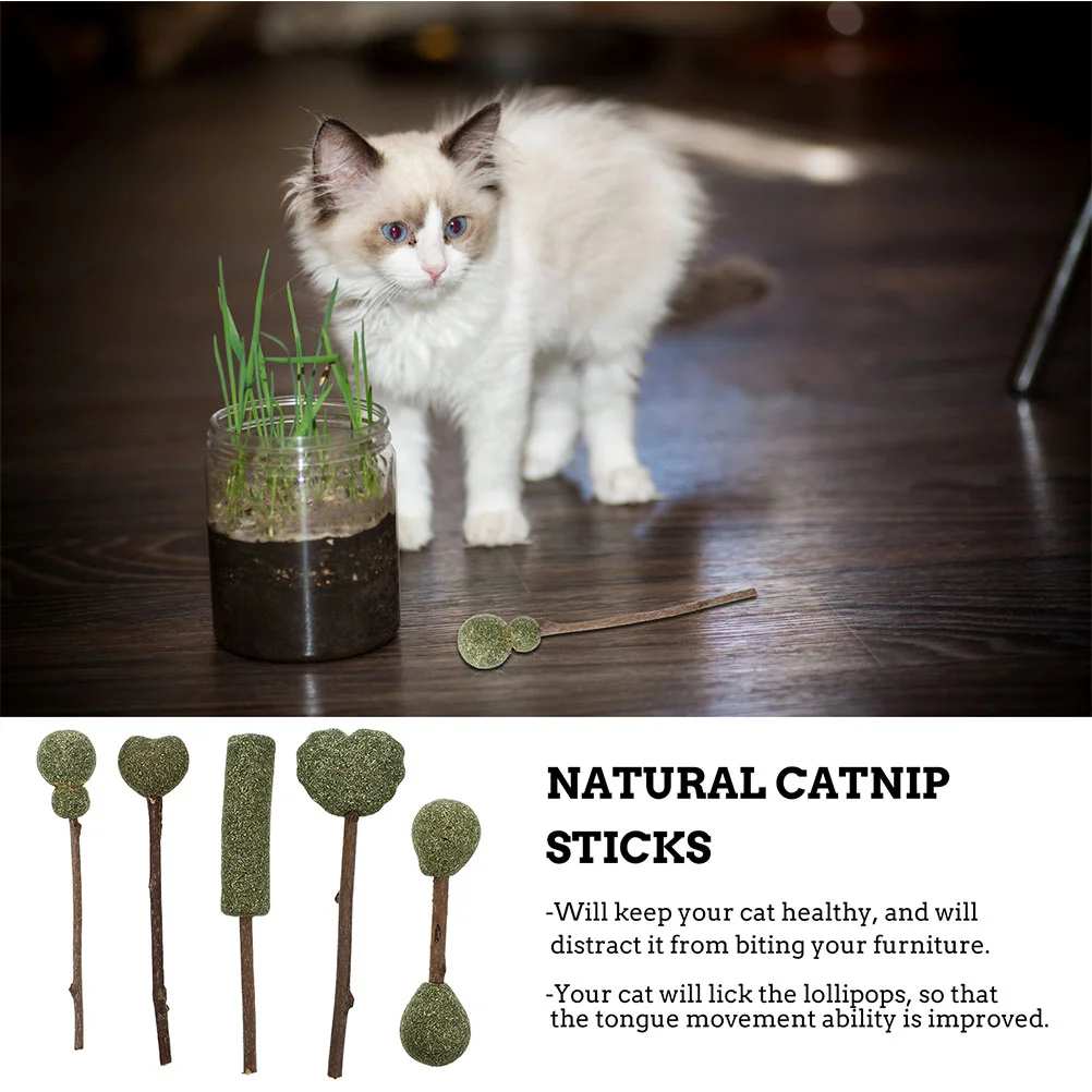 10 Pcs Catnip Treats Kitten Dental Care Toy Snacks Natural Sticks Chew Lollipops Edible