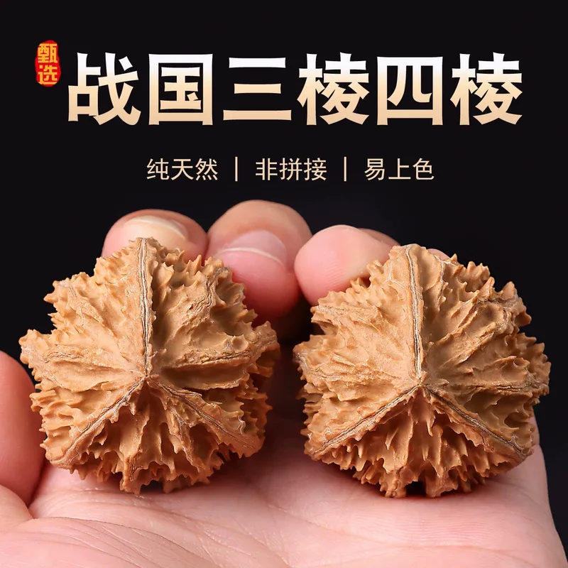 Wenwan walnuts, Warring States period, non-spliced, triangular and quadrangular, Shaanxi lantern, auspicious design symbolizing