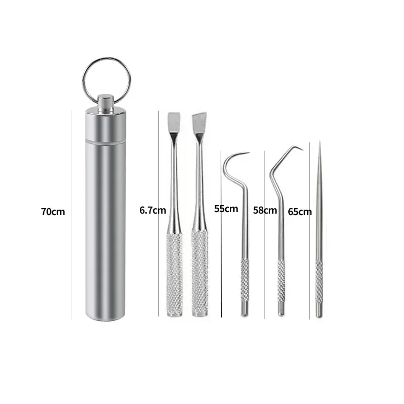 Stainless Steel Toothpick Set Tooth Flossing Reusable Toothpicks Portable Toothpick Floss Teeth Cleaner Oral Cleaning