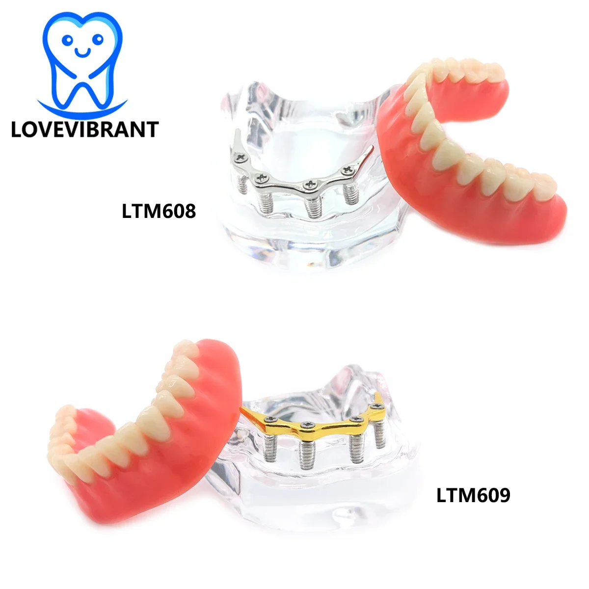 

Dental Teaching Model Overdenture Teeth Models Lower Jaw Precision Implants Demo Silver Gold Bar Dentistry Tools