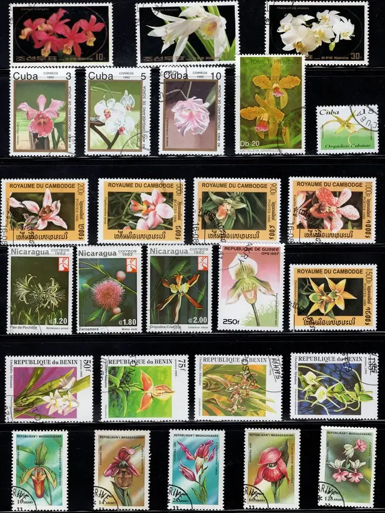 50 pçs/lote tópico de carimbo de orquídea todos diferentes de muitos países sem repetição selos postais com marca postal para coleta