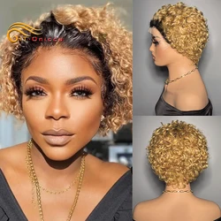 Pixie Cut Wig Human Hair Colored Lace Wig Spring curl Short Bob Human Hair Wig For Women 13x1 Transparent Lace Wigs