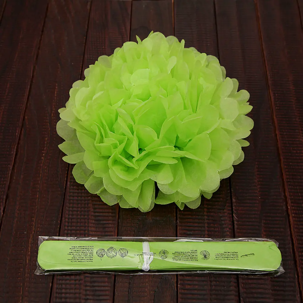 1pcs 25cm(10