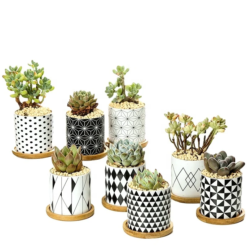 

Plants Flower Pots Indoor&Outdoor Ceramic Planter Pots for Cactus with Drain Hole and Bamboo Tray