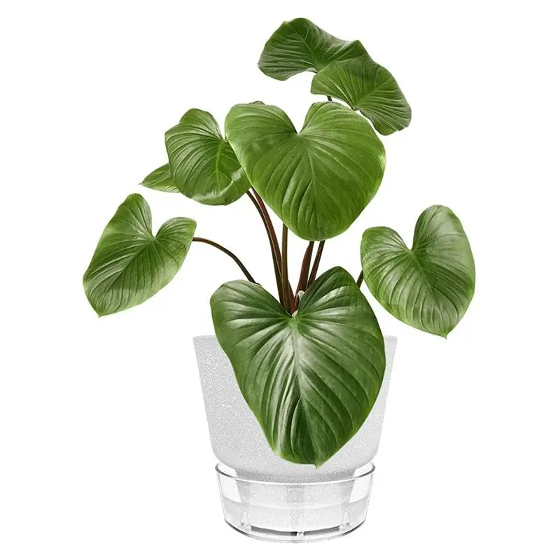 5 Pcs African Violet Pot With Visual Reservoir For Tropical Plants For House Plants,Herbs,Indoor Outdoor Grey-AT36