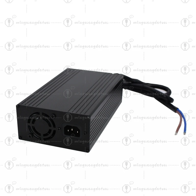 Customized 69.35V5A/10A Golf Cart LiFePO4 LiFe Battery Charger with Display