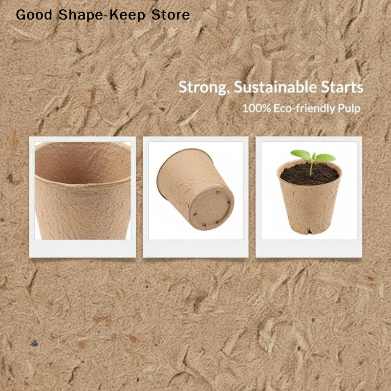 dailySeed Starter Cups  Biodegradable Pulp Plant Pots Eco-Friendly Breathable for Indoor Outdoor Flower Growth Vegetables