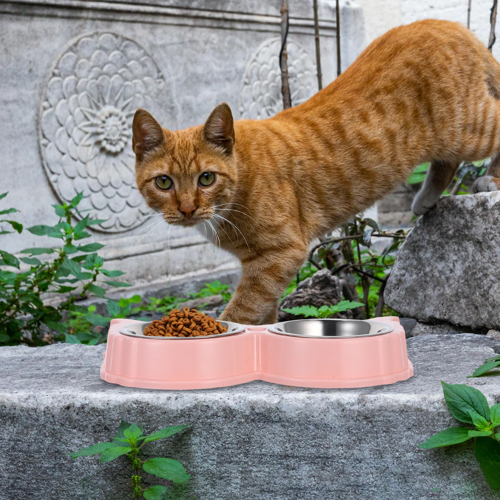 

Cat Bowls Pet Dog Cute Food Water Mat Elevated and Pink for Flat Faced Dogs Dishes
