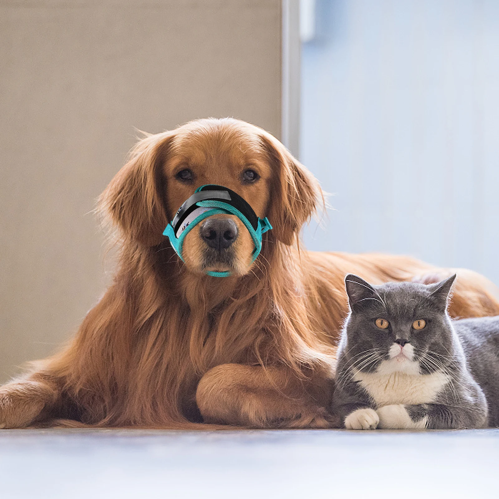 

Anti Chewing Polyester Polyester Pet Muzzle Breathable Pet Adjustable Chewing Muzzle Training Supplies Dog Accessories