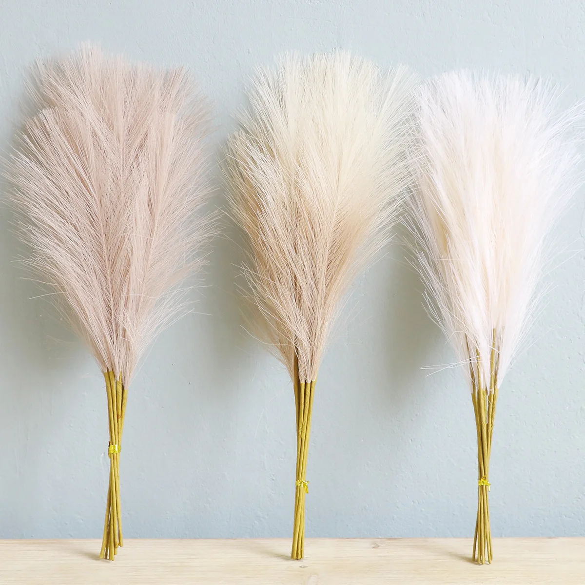 5Pc Simulation Reed…