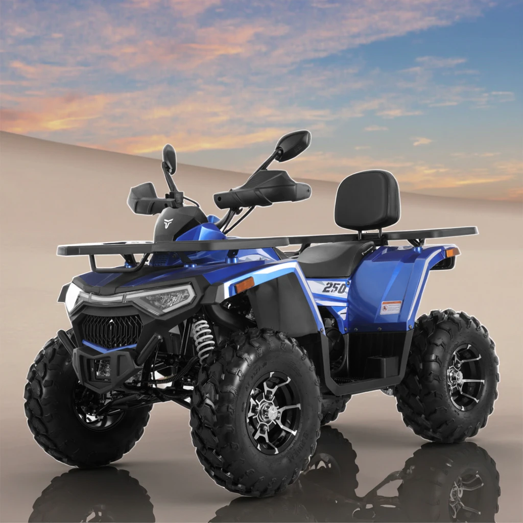 Tao Motor 2025 New Design Chain Drive 4x2 250c ATV c Quad Bike Cheap Chinese Wholesale CuatrimotoS ATV 250cc with EPA CE