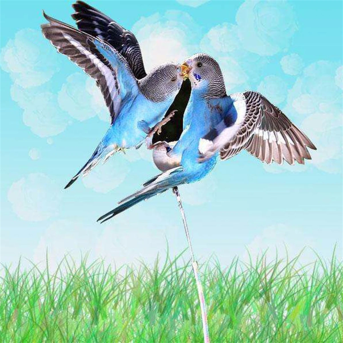 3/5/10/15/20m Parrot Bird Flying Training Leash Ultra-light Flexible Rope Anti-bite Outdoor Macaw Cockatiel Training Tools 1 Pc