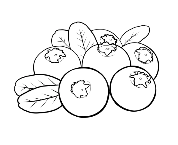 

1 Set Simulation Disc Brake Set Caliper for 1/7 KM Raytheon Rally Car C3 E8414 E8415 RC Car Upgrade Accessories