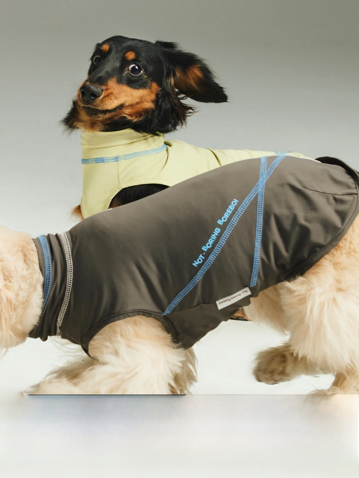 gilet-per-cani-ad-asciugatura-rapida-rinfrescante-protezione-solare-leggero-alta-elasticita-per-esterni-per-bassotti-e-bichon-di-taglia-piccola-e-media