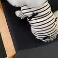 Black White Vest