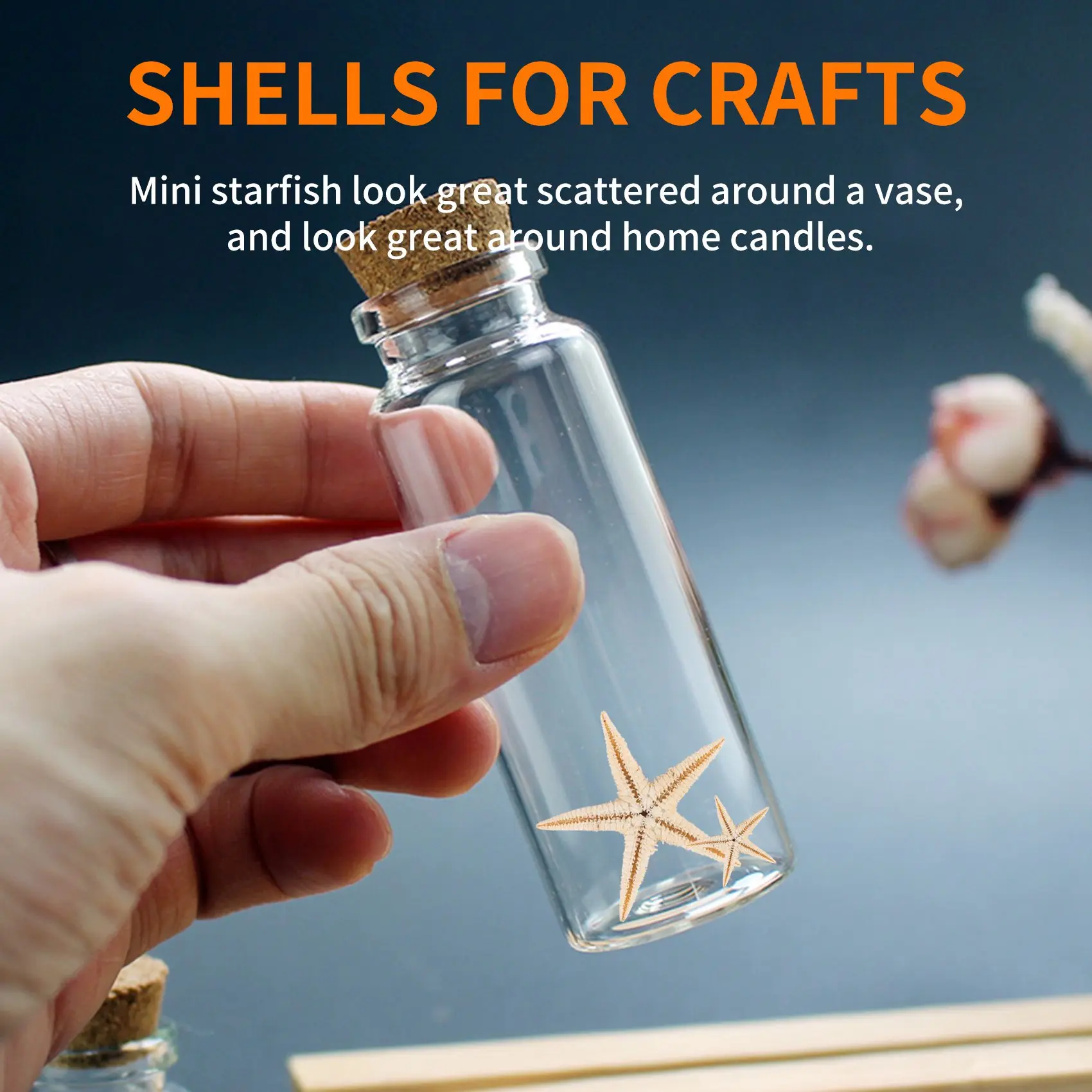 Small Starfish Star Sea Shell Beach Craft 0.4 inch-1.2 inch 90 Pcs