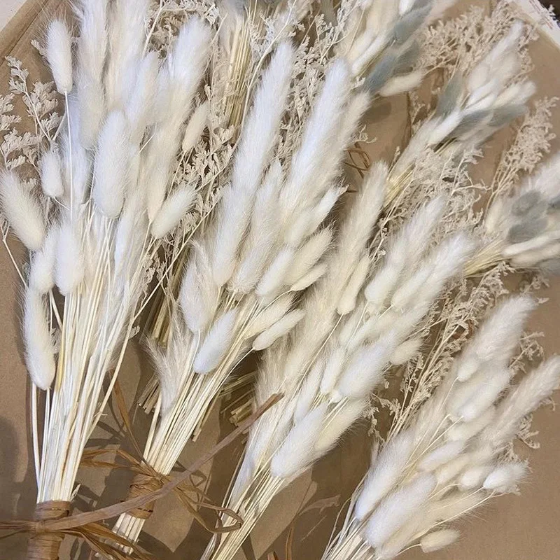 Natural Dried Flowers Rabbit Tail Grass Reed Pampas Wheat Ears  Bouquet Wedding Decoration Hay for Home Bohemian Party